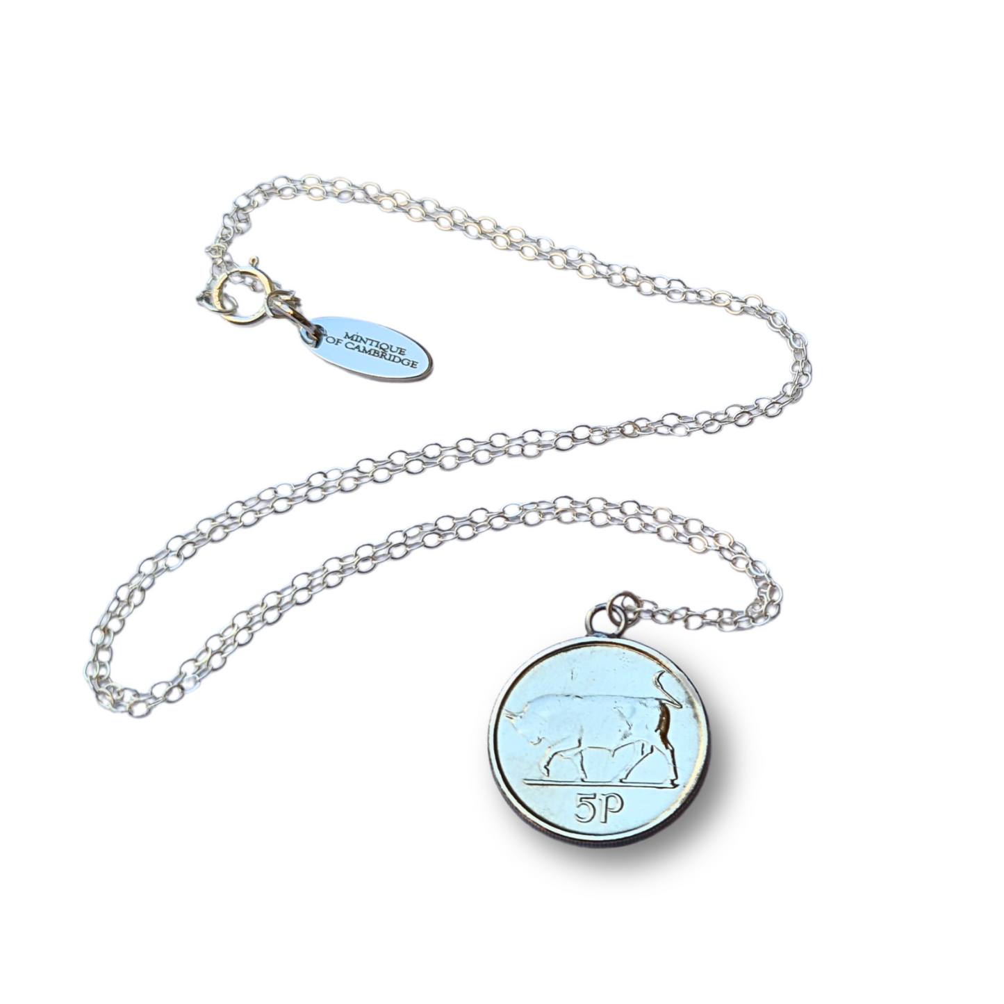 Irish 5p (Bull) Single Coin Necklace