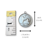 Irish Sixpence (Wolfhound/Dog) Single Coin Necklace
