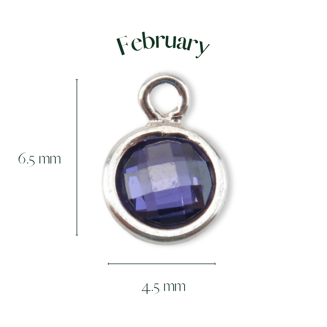 Silver pendant with a purple gemstone, labeled 'February', on a white background.