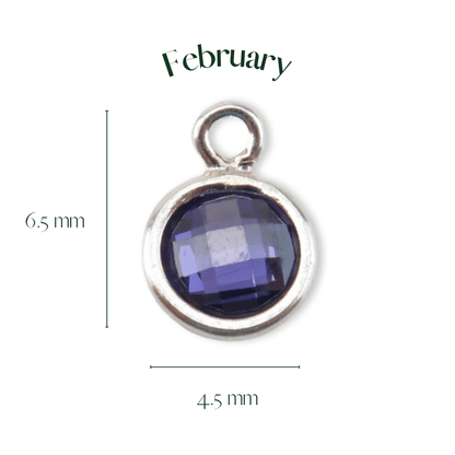 Silver pendant with a purple gemstone, labeled 'February', on a white background.